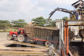 Hình chỉ mang tính minh họa. (Nguồn: TTXVN)