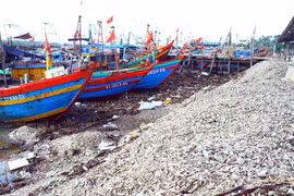 Vỏ sò, vỏ ốc dùi bị các chủ tàu thuyền đổ tràn lan hai bên cảng cá Lạch Vạn gây ô nhiễm môi trường nghiêm trọng. (Ảnh: Tá Chuyên/TTXVN)