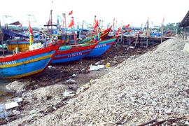 Vỏ sò, vỏ ốc dùi bị các chủ tàu thuyền đổ tràn lan hai bên cảng cá Lạch Vạn gây ô nhiễm môi trường nghiêm trọng. (Ảnh: Tá Chuyên/TTXVN)