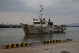 Tàu 798 chuẩn bị cập cảng Hải đoàn 129 - Tổng công ty Tân Cảng Sài Gòn (thành phố Vũng Tàu). (Ảnh: TTXVN)