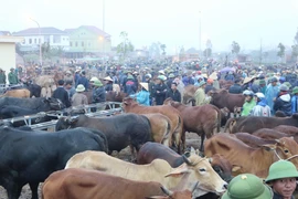 Chợ Ú họp một tháng 6 phiên vào các ngày 1, 6, 11,16, 21, 26 Âm lịch. (Ảnh: Nguyễn Oanh/TTXVN)