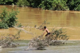 Người dân vùng núi phía Bắc cần đề phòng lũ quét, sạt lở đất. (Ảnh: Xuân Tiến/TTXVN)