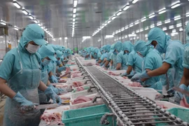 Chế biến cá tra xuất khẩu tại tỉnh Đồng Tháp. (Ảnh: Chương Đài/TTXVN)