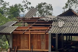 Gia đình ông Lù Văn Sanh, thôn Suối Thầu, xã Chiến Phố, huyện Hoàng Su Phi (Hà Giang) bị tốc mái và sét đánh chết 2 con trâu. (Ảnh: TTXVN)
