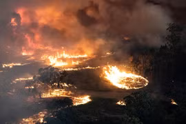 Các đám cháy rừng lan rộng tại bang Victoria, Australia. (Ảnh: AFP/TTXVN)