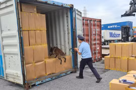 Lực lượng hải quan thực hiện biện pháp nghiệp vụ trong phòng chống buôn lậu. (Ảnh: TTXVN phát)
