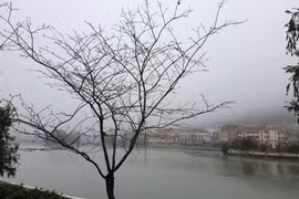 Thị trấn Sa Pa chìm trong sương mù và giá lạnh. (Ảnh: Quốc Khánh/TTXVN)
