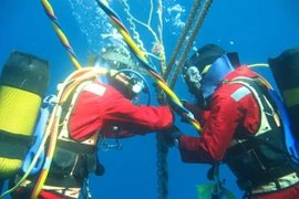 Ngày 11/6 khôi phục hoàn toàn lưu lượng Internet Việt Nam đi quốc tế 