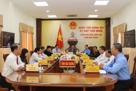 Các đại biểu dự kỳ họp bằng hình thức trực tuyến. (Ảnh: Hồng Thái/TTXVN)