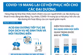 [Infographics] COVID-19 mang lại cơ hội phục hồi cho các đại dương