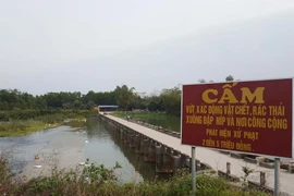 Mặc dù có biển cấm nhưng xác gia cầm, rác thải vẫn được xả bừa bãi ra đập. (Ảnh: Quân Trang-TTXVN)
