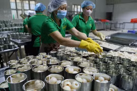 Chế biến vải thiều tươi đóng hộp xuất khẩu sang thị trường Đức. (Ảnh: Vũ Sinh/TTXVN)