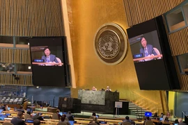 Đại sứ Đặng Đình Quý, Trưởng phái đoàn đại diện thường trực Việt Nam tại Liên hợp quốc phát biểu trong cuộc họp tại Đại hội đồng Liên hợp quốc ngày 23/11/2020. (Ảnh: Hữu Thanh/TTXVN)