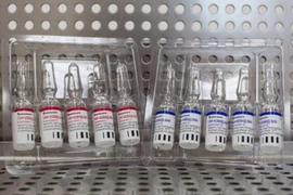 Vắcxin Sputnik V phòng COVID-19 do Viện nghiên cứu dịch bệnh và vi trùng học Gamaleya của Nga phát triển. (Ảnh: Bloomberg/TTXVN)