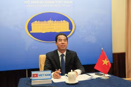 Thứ trưởng Bộ Ngoại giao Tô Anh Dũng. (Ảnh: TTXVN)