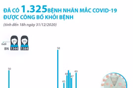 [Infographics] 1.325 bệnh nhân mắc COVID-19 được công bố khỏi bệnh