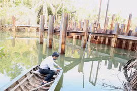 Cán bộ kỹ thuật của Sở Nông nghiệp và Phát triển nông thôn kiểm tra đo độ mặn tại đập ngăn mặn tạm thời trên sông Hàm Luông, xã Đông Sơn, thành phố Bến Tre. (Ảnh: Vũ Sinh/TTXVN)