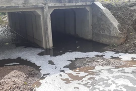 (Ảnh minh họa: Hoàng Nhị/TTXVN)