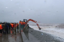 Đoàn kiểm tra công tác tác khắc phục sự cố đê biển tại Nam Định. (Ảnh: Văn Đạt/TTXVN)