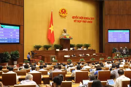 Biểu quyết thông qua Nghị quyết về công nhận và cho thi hành phán quyết của cơ quan giải quyết tranh chấp theo quy định của Hiệp định Bảo hộ đầu tư Việt Nam-EU (EVIPA). (Ảnh: Doãn Tấn/TTXVN)