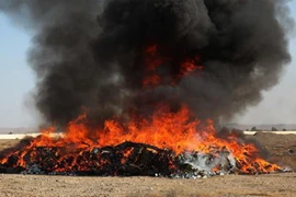Cảnh sát Afghanistan tiêu hủy ma túy bị thu giữ. (Nguồn: Xinhua)