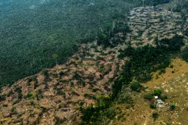 Một khoảng rừng mưa Amazon ở bang Amazonas, Brazil bị cháy rụi ngày 24/8/2019. (Ảnh: AFP/TTXVN)