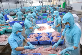 Chế biến cá tra xuất khẩu tại nhà máy của Tập đoàn Sao Mai, An Giang. (Ảnh: Vũ Sinh/TTXVN)