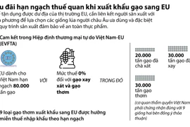 [Infographics] Ưu đãi hạn ngạch thuế quan khi xuất khẩu gạo sang EU