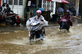 (Ảnh minh họa: Quốc Khánh/TTXVN)