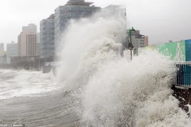 Gió mạnh gây sóng lớn ở bờ biển Hàn Quốc. (Nguồn: Reuters)