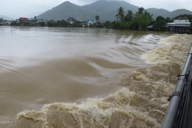 Nước lũ đổ về sông Cái gây ngập lụt cục bộ ở một số địa phương của tỉnh Khánh Hòa. (Ảnh: Phan Sáu/TTXVN)