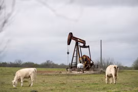 Một trạm bơm dầu ở Luling, bang Texas, Mỹ. (Ảnh: THX/TTXVN)