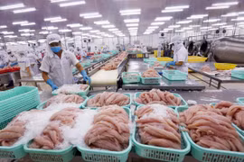 Bộ Nông nghiệp Hoa Kỳ đã chính thức công nhận tương đương hệ thống kiểm soát an toàn thực phẩm cá da trơn của Việt Nam xuất khẩu. (Ảnh: TTXVN)