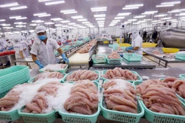 Bộ Nông nghiệp Hoa Kỳ đã chính thức công nhận tương đương hệ thống kiểm soát an toàn thực phẩm cá da trơn của Việt Nam xuất khẩu. (Ảnh: TTXVN)