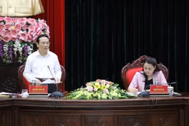 Ông Nguyễn Hồng Sơn, Phó Trưởng Ban Kinh tế Trung ương phát biểu tại hội nghị. (Ảnh: Đức Phương/TTXVN)