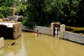 Cảnh ngập lụt tại Al-Kadaro, phía bắc thủ đô Khartoum, Sudan, ngày 31/8/2020. (Ảnh: THX/TTXVN)