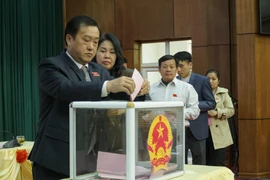 Các đại biểu bỏ phiếu bầu bổ sung Phó Chủ tịch HĐND tỉnh. (Ảnh: Xuân Tư/TTXVN)