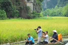 Tam Cốc-Bích Động mùa lúa chín, một trong những điểm đến du lịch đẹp nhất của Ninh Bình. (Ảnh: Minh Đức/TTXVN)