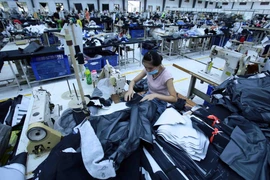 (Ảnh minh họa: Phạm Kiên/TTXVN)