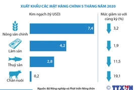 [Infographics] 5 tháng, nông-lâm-thủy sản xuất siêu gần 3,3 tỷ USD