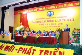 Ông Y Thanh Hà Niê Kđăm, Ủy viên Dự khuyết Trung ương Đảng, Bí thư Đảng ủy Khối Doanh nghiệp Trung ương phát biểu tại Đại hội đại biểu Đảng bộ Khối Doanh nghiệp Trung ương lần III. (Ảnh: Phương Hoa/TTXVN)