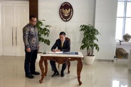 Indonesia sẽ nới lỏng xuất-nhập khẩu tôm hùm giống sang Việt Nam. (Ảnh: Phạm Cường/TTXVN)
