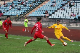 (Ảnh: Đại Nghĩa/TTXVN)