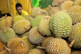 Quả sầu riêng bày bán tại một chợ ở Indonesia. (Ảnh: AFP/TTXVN)