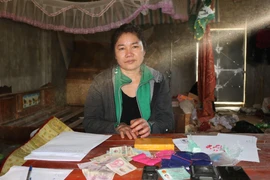 Đối tượng Lù Thị Thinh và tang vật vụ án. (Ảnh TTXVN phát)