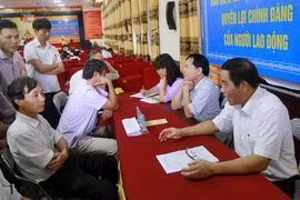 Tư vấn pháp luật cho người lao động. 