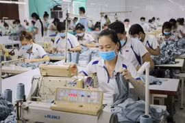 (Ảnh minh hoạ: PV/Vietnam+)