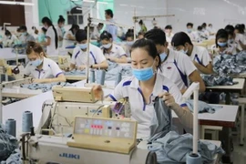 (Ảnh minh họa: TTXVN)