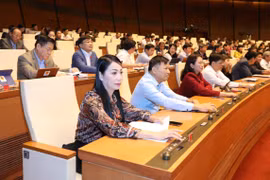 Quốc hội biểu quyết thông qua Bộ Luật Lao động sửa đổi. (Ảnh: Lâm Khánh/TTXVN)