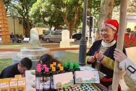 Một trong những gian hàng trưng bày sản phẩm của phụ nữ dân tộc Dao do GREAT tài trợ. (Ảnh: PV/Vientam+)